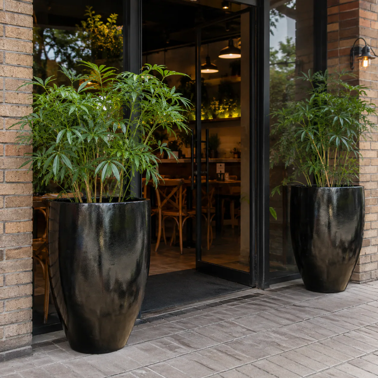 Vaso Santa Fé — imagem 2