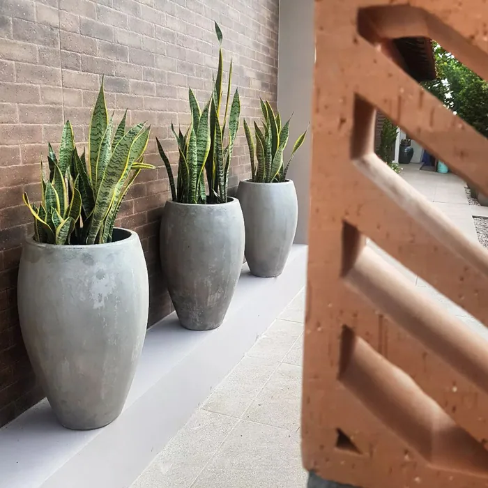 Vaso Bogotá