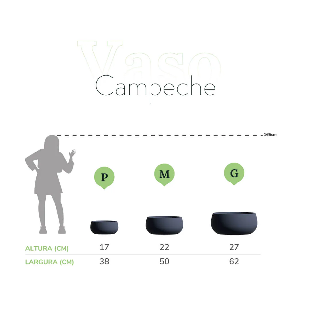 Vaso Campeche — imagem 4
