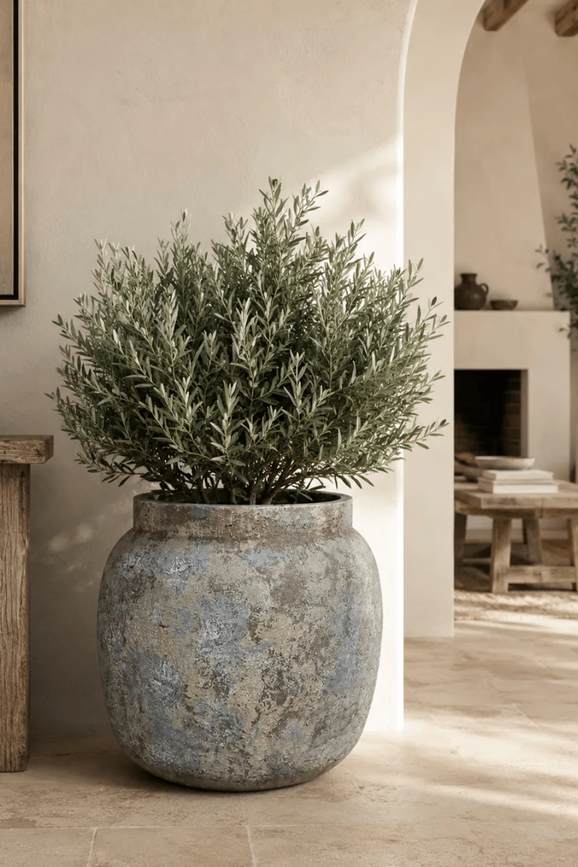 Vaso Petra — imagem 3