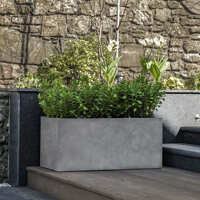 Jardineira Paris