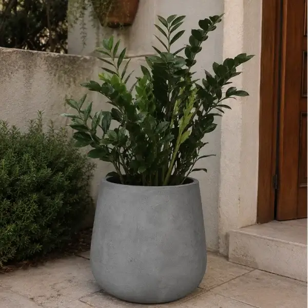 Vaso Bali