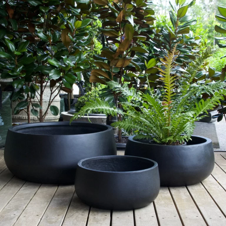 sante-low-bowl-pots-light-weight-brookfield-gardens-38x17cm-black-885697