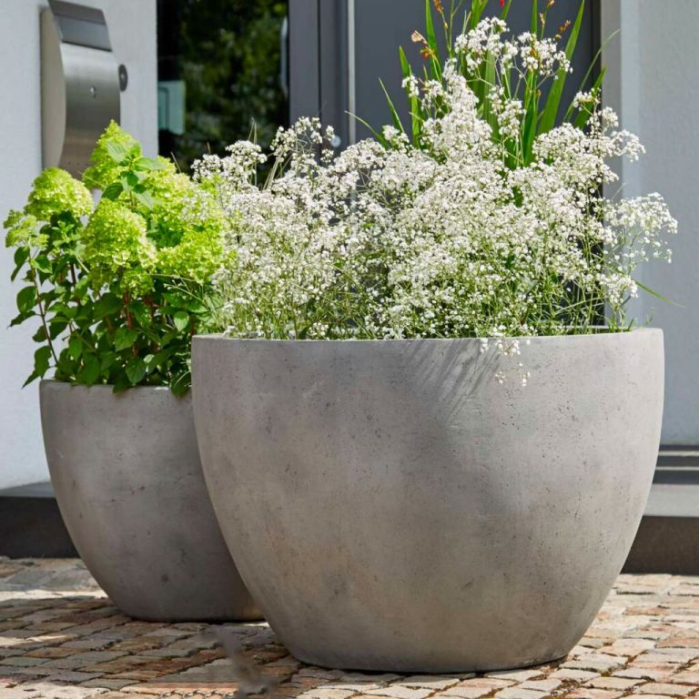Vaso Roma