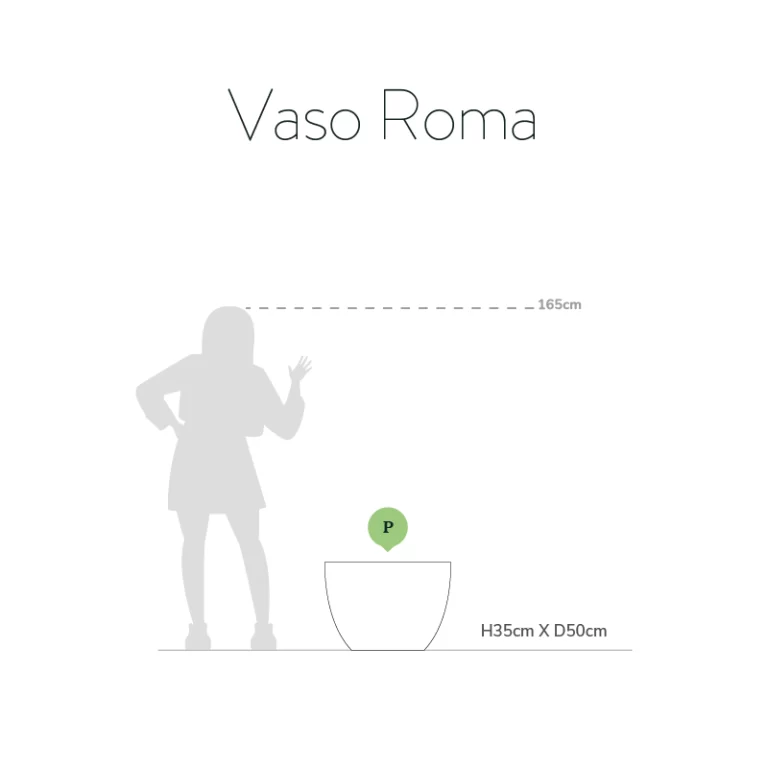 Vaso Roma - Image 2