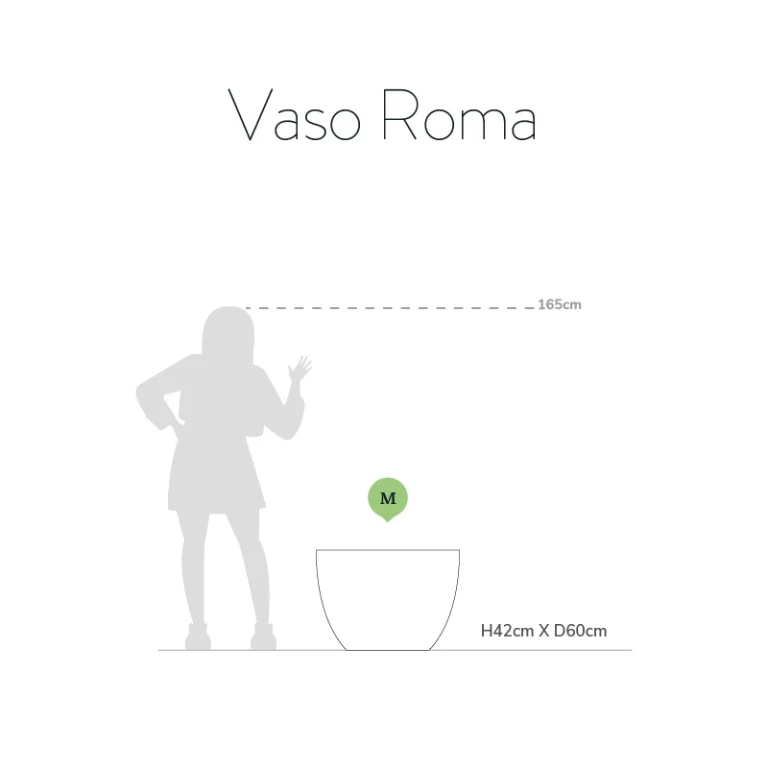 Vaso Roma - Image 3