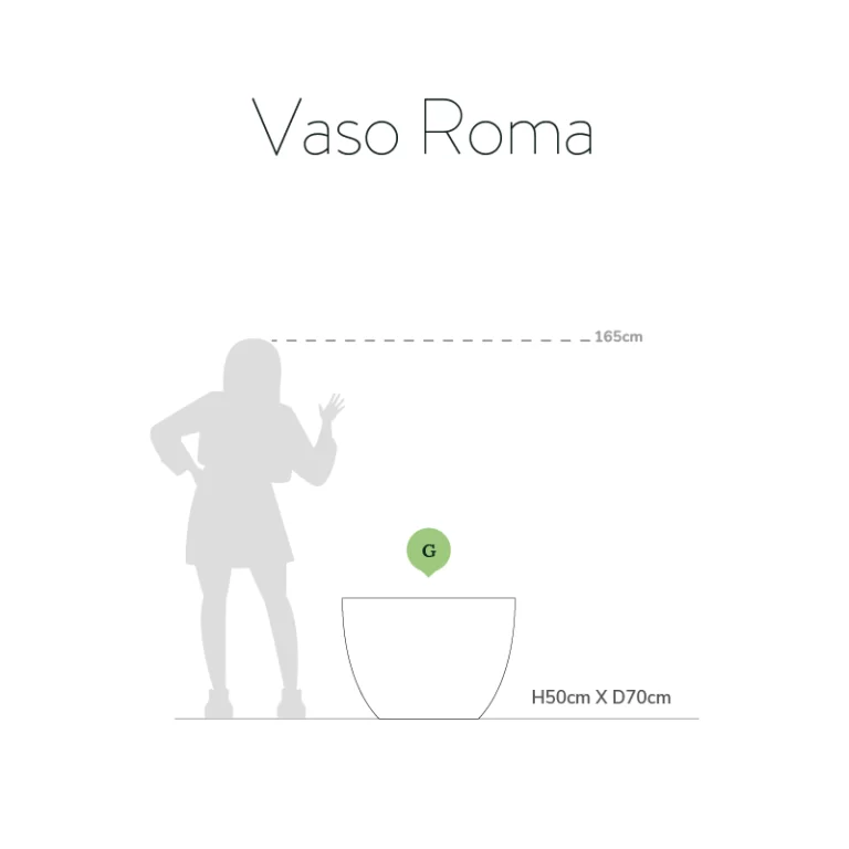 Vaso Roma - Image 4