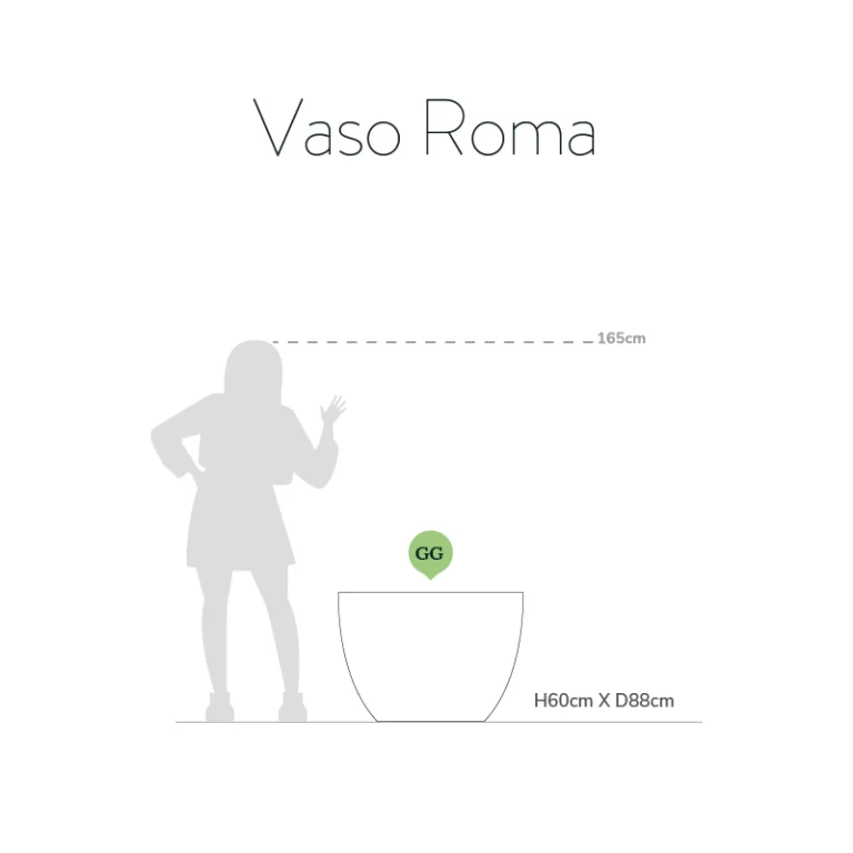 Vaso Roma - Image 5