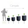 Vaso Campala