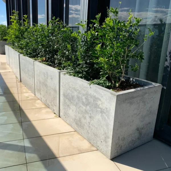 Jardineira Lisboa